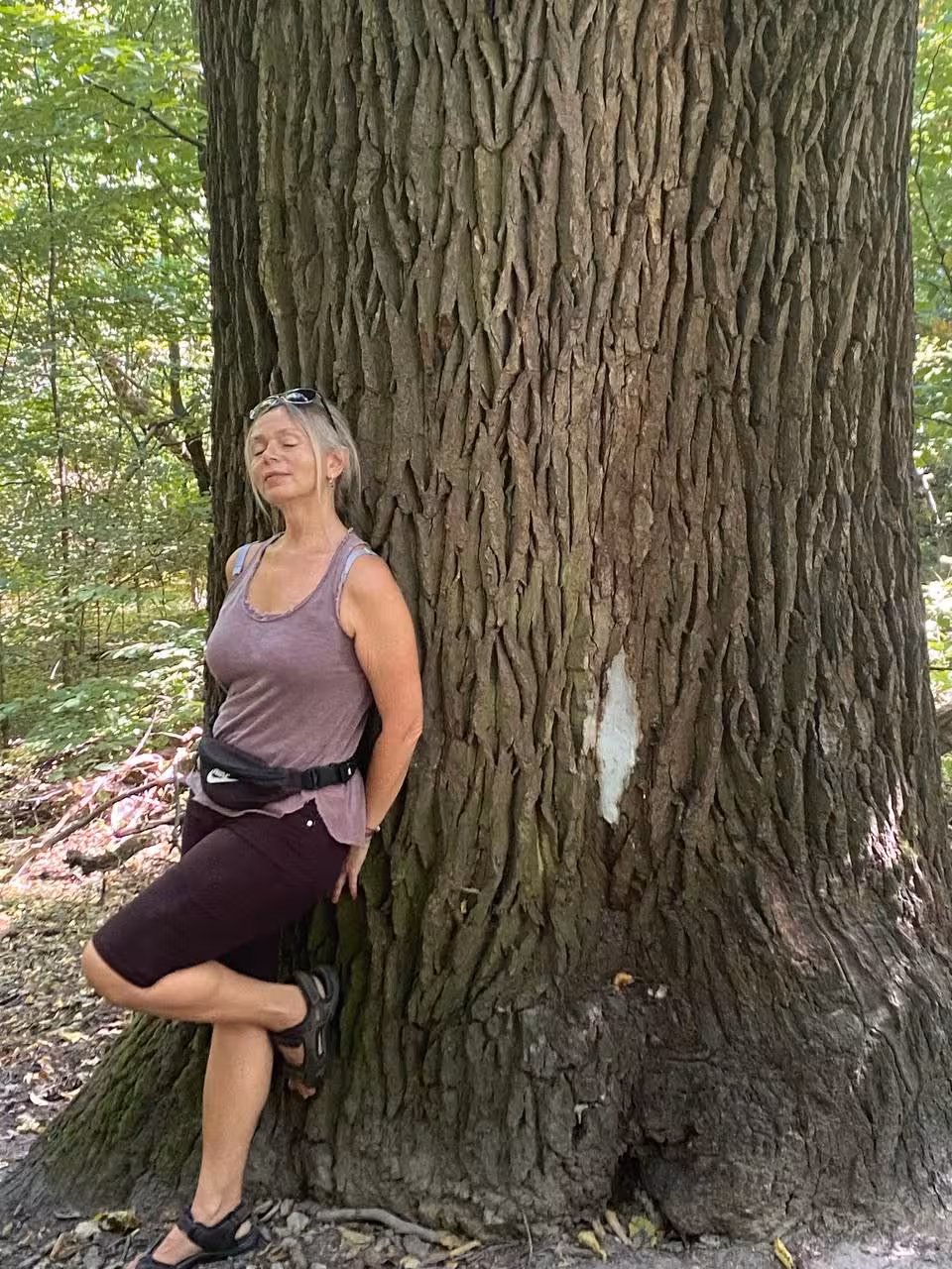 Abrir Perfil de la Mujer