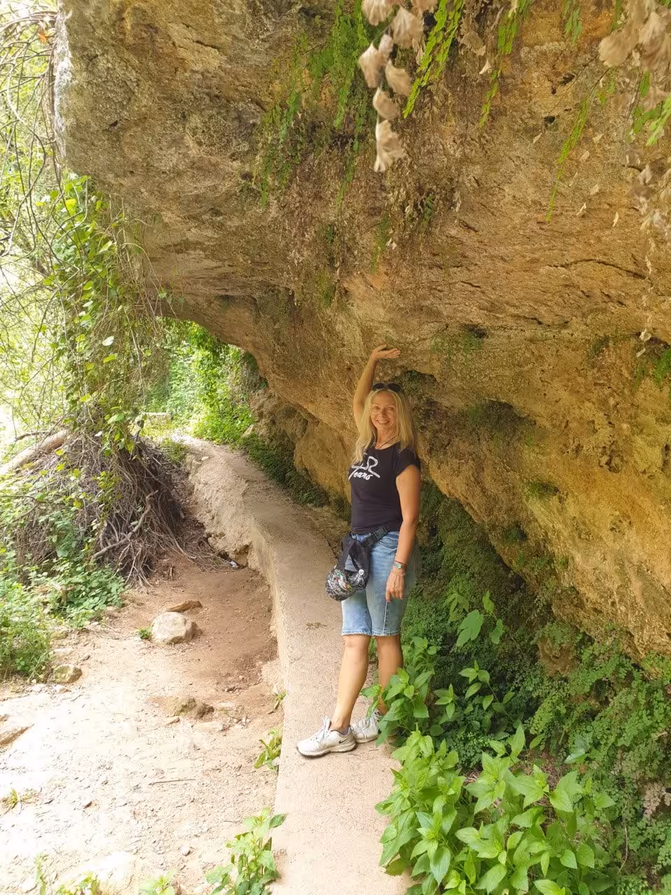 Visitar Perfil de la Senorita