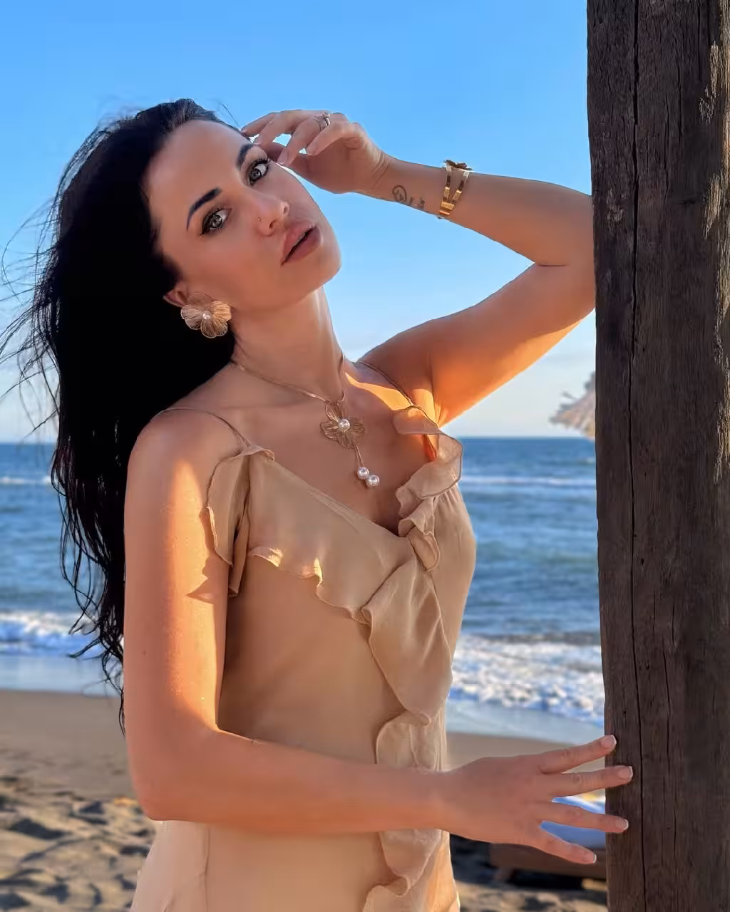 Ver Perfil de la Novia