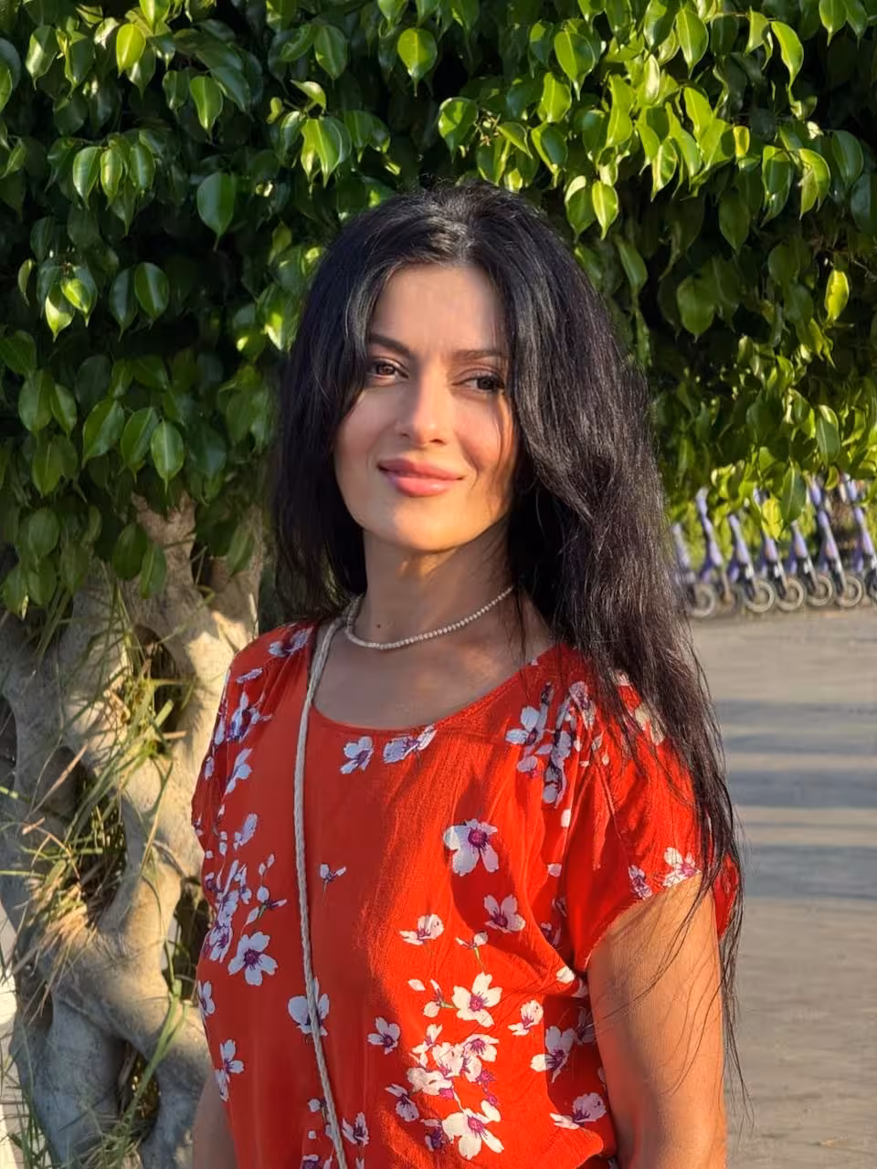 Ver Perfil de la Novia