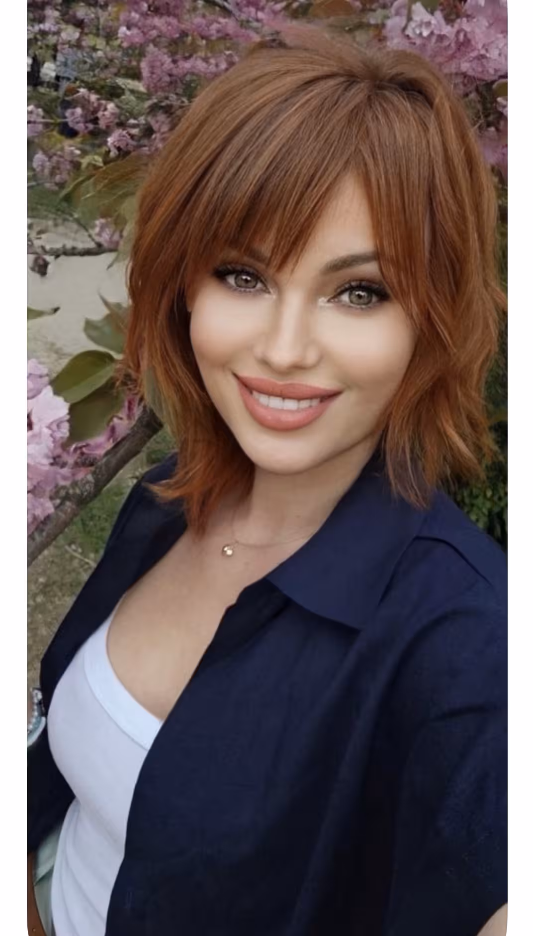 Explorar Perfil