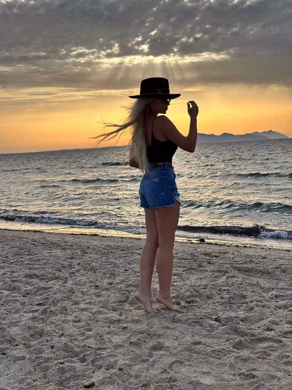 Perfil Detallado