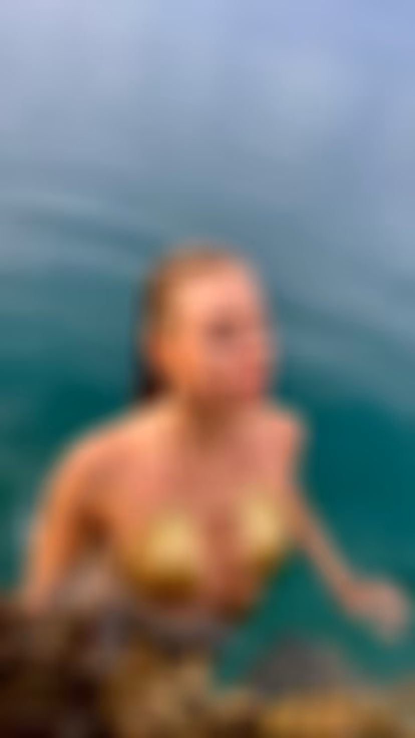 Perfil Detallado