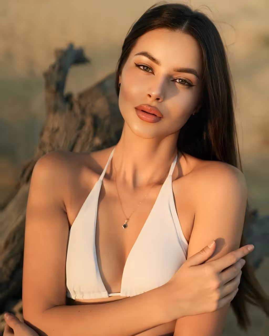 Ver Perfil de la Novia