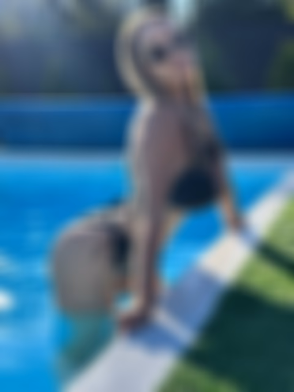 Visitar Perfil de la Senorita