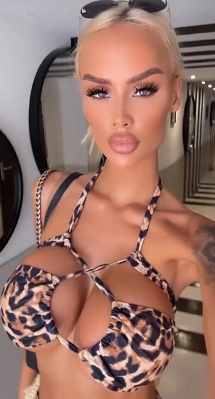 Conectar con la Novia