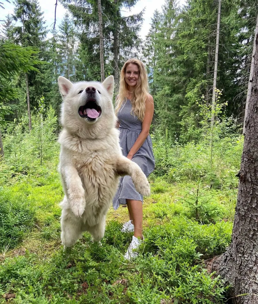 Ver Perfil de la Novia